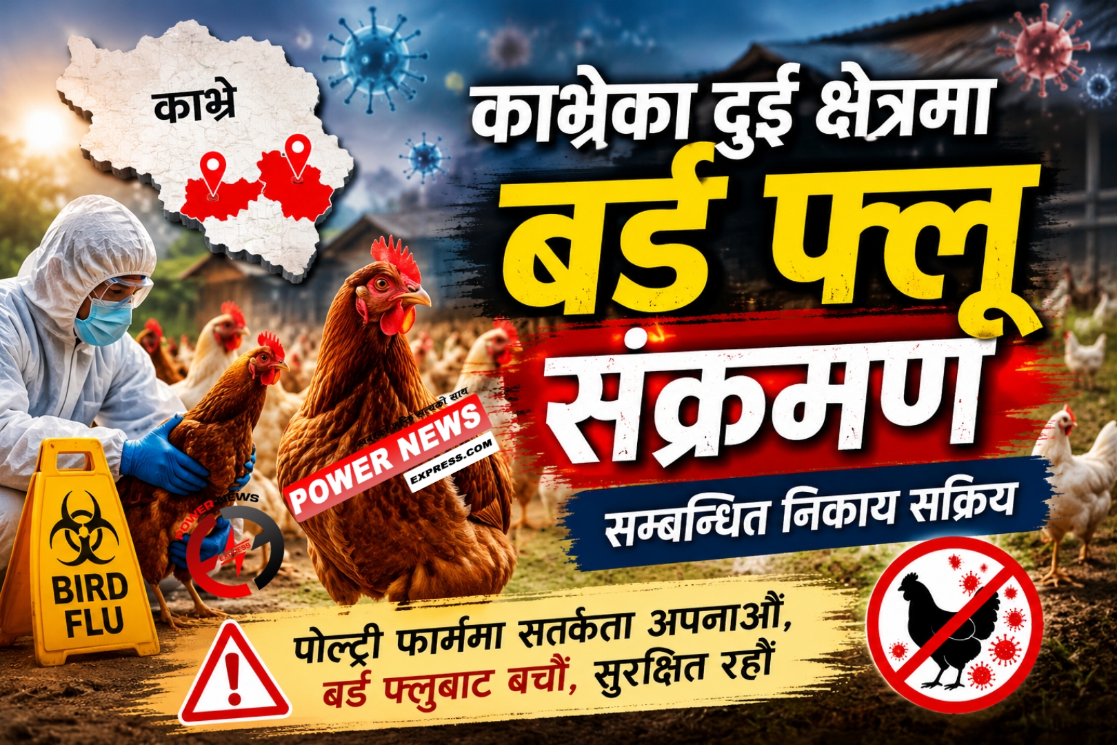 काभ्रेका दुई फार्ममा बर्ड फ्लु, करिब दुई हजार कुखुरा–हाँस नष्ट
